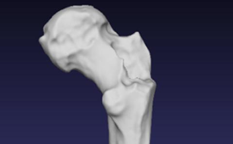 Computed Tomography Scanning vs Handheld Laser Scanning of Archaeological Artefacts