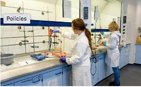 Policies and Committees