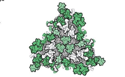 testing for COVID-19