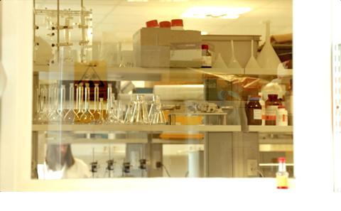 NAFLD Double-Blind Placebo Trial