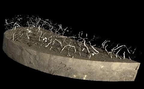 Palaeoclimate history of the North Atlantic 30 million years ago