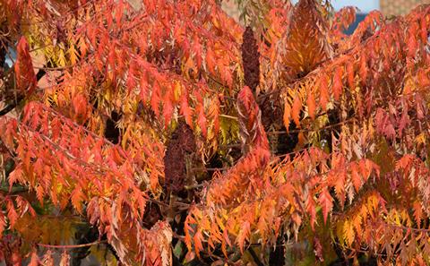 How to access support