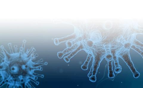 Pathogenesis of lethal respiratory COVID-19
