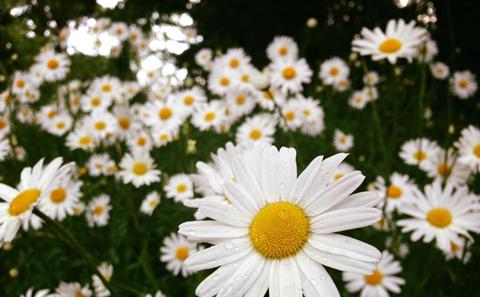 One of our entires to the Research Photography Competition