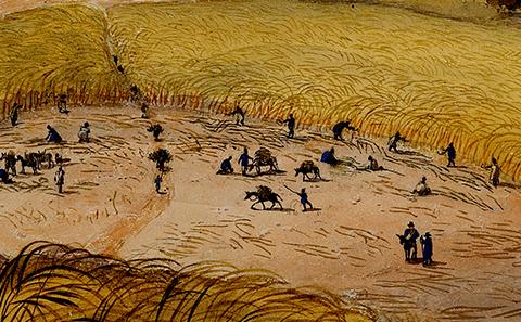 Studying a slave holder