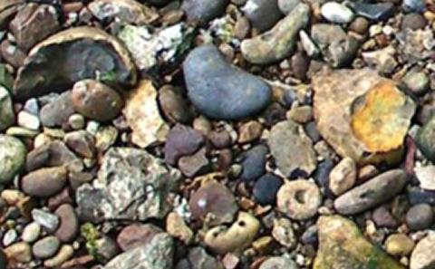 River bed stability and development