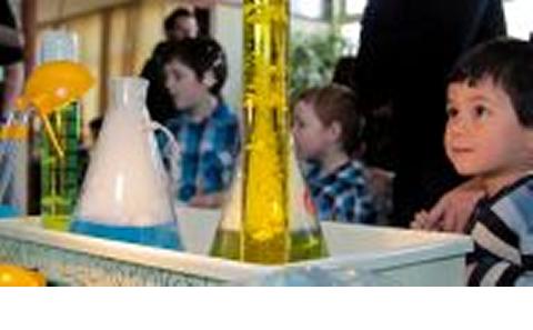 Science and Engineering Festival