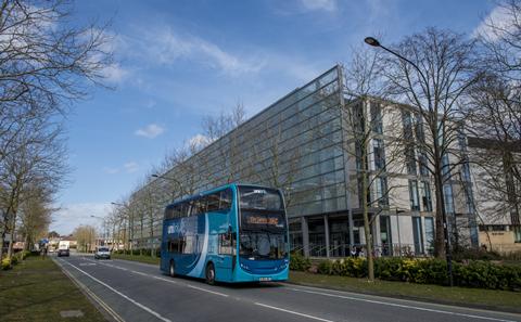 Bus on University Avenue