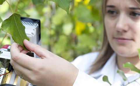 Researcher resources