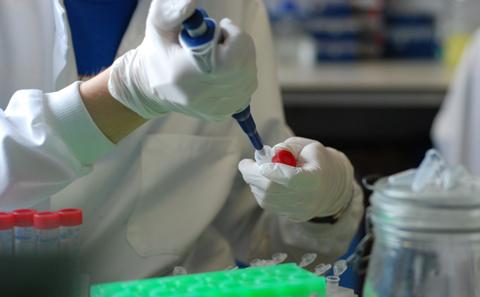 Business and Enterprise