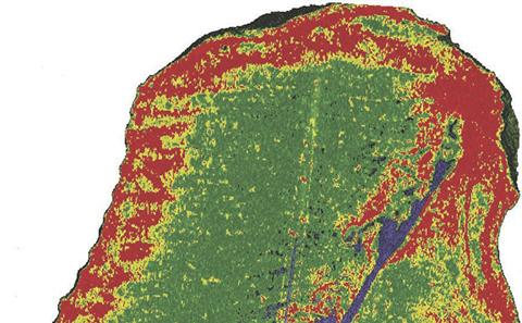 CT Image of a Hydrothermal Vent