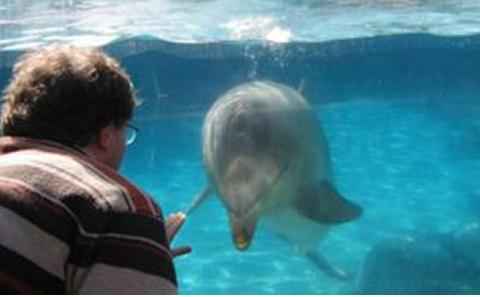 Professor Tim Leighton looking into a tank with a dolphin in it