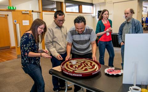 The A-MAZE-ing Placenta