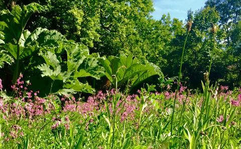 Read more about our Environmental Policy