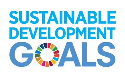 sustainable development goals