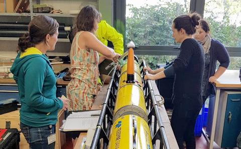 Research experience placements