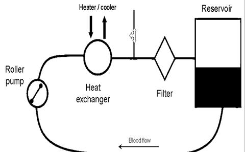 Post-Operative Bleeding
