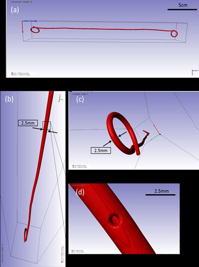Surface rendering of the ureteral stent