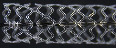 The ArterioSorbTM biodegradable scaffold