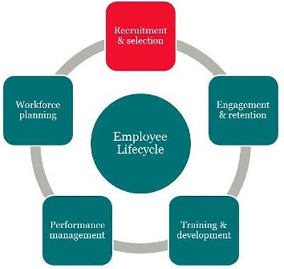 Employee lifecycle