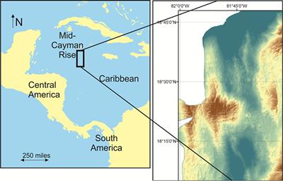 (Source: M Hodgkinson)