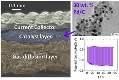 Figure and leyend Image