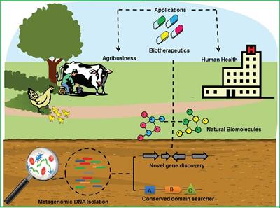 A whole society engagement