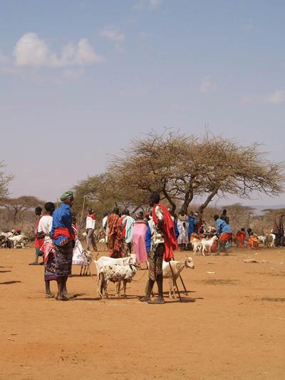 We are working with communities in Northern Kenya to conserve wildlife and improve livelihoods