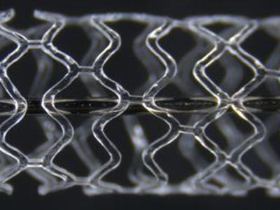 The ArterioSorbTM biodegradable scaffold