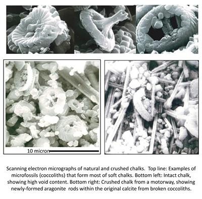 Click for larger image.