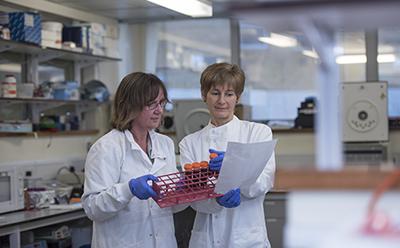 Professor Diana Eccles and her team