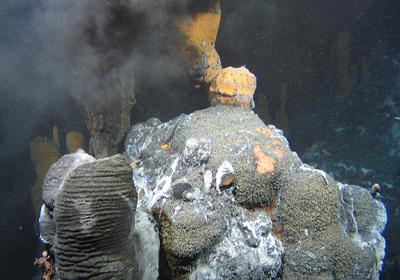 Hydrothermal vent at the sea floor