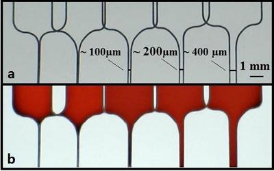 Each channel can help tell us what microbe species are present