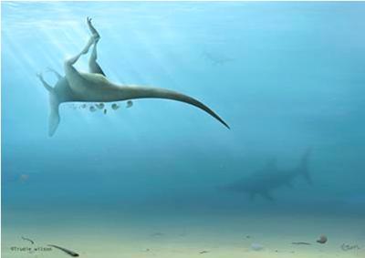 Artist’s impression of Vectaerovenator 