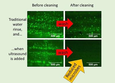 Microbes stained green on hay are removed by ultrasonic stream