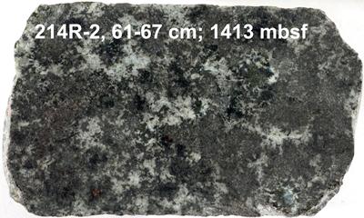 Hydrothermally altered gabbro from IODP Hole 1256D.