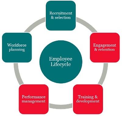 Employee lifecycle