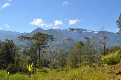 Landscape of Papua New Guinea