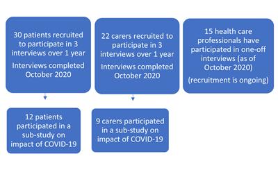 Summary of study progress to date, October 2020