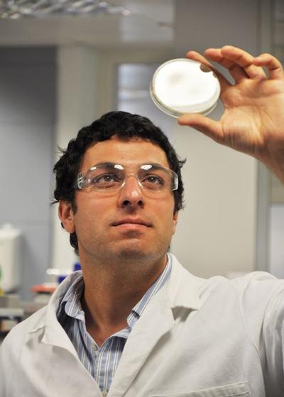 Ali working in the lab