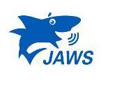 JAWS Screens Reader
