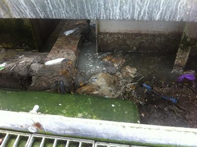 Example of 'Rag'-insoluable material screened out before treatment 