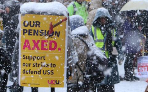 Snowy Picket