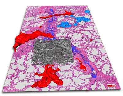 BIU & μ-VIS joint one-day meeting