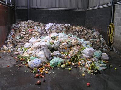 Our researchers are using anaerobic digestion to recycle food waste and produce biofuels