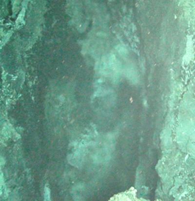 (Source: M Hodgkinson)