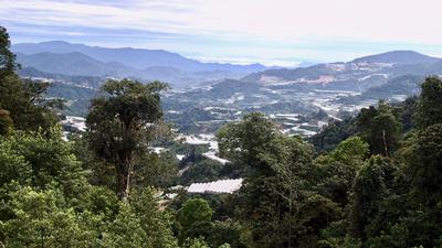 The montane regions of Peninsular Malaysia, where much of the forest has been cleared for agriculture.
