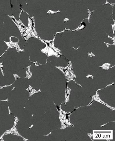 Figure 1 - SEM observation of crack propagation in the cross-section of leaded bronze