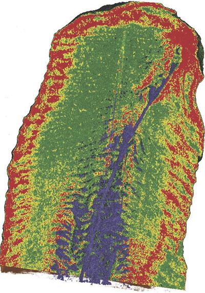 Density map of the interior of the beehive structure
