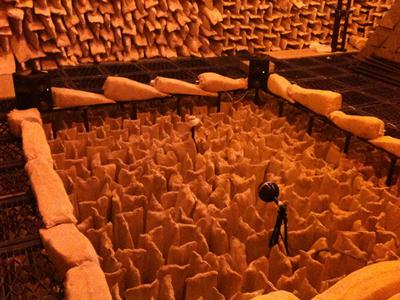 Experiment on a spherical microphone array in ISVR’s large anechoic chamber